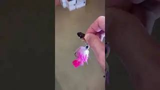 Pink lures catch big bass