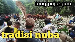 suasana siang hari sebelum tradisi nuba||Dayak long pujungan