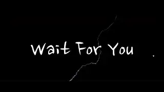 The Voltic - Wait For You (Visual Video)