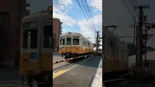 Japanese local train 【Kotohira Line】#shorts