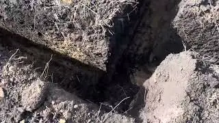 22 марта 2024 г.
