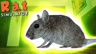 NUCLEAR RAT ATTACK! ☢️ Rat Simulator Gameplay #1 🐀