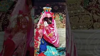श्री श्री महाकाली मंदिर नारघाट मिर्जापुर विंध्याचल आरतीदर्शन 