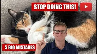 5 Cat Behavior Mistakes You&rsquo;re Probably Making 🐾 (And How to Fix Them!)