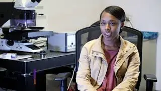 Breast Cancer Creative Inquiry Research Overview
