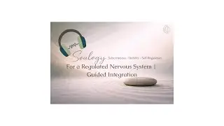 For a Regulated Nervous System | Guided Integration