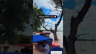Elvish Yadav Foundation Pahucha Punjab me bhaad waale illako me help kro #prayforpunjab