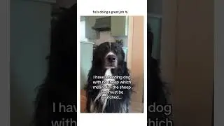 Doggo like don&rsquo;t move a muscle until I hear this full track by prvnci da goat