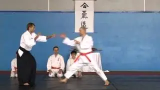 Aikido. 