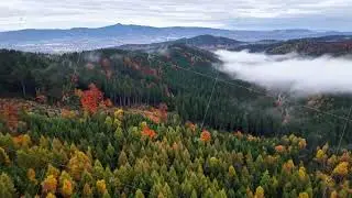 gentle haze drifts across vibrant fall scene, serene fog weaves through crimson and gold treetops