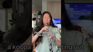 What if we were all Koopas? #oboe #band #orchestra #clarinet