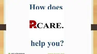 Study Abroad consultants