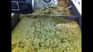 Extra Virgin Olive Oil made by Oliomio Processing Machine at Kangaroo Valley Olives Harvest 2014