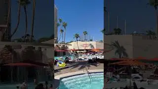 Bring your own booze in Vegas pool! #vegas #summer #pool