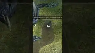 Oniro ARPG, Finalmente o drag&atilde;o.