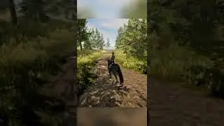Jumping in the forest! 🌲