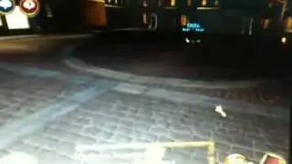 Wizard101 Pet minigame glitch!!