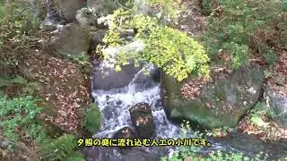 251225douga1