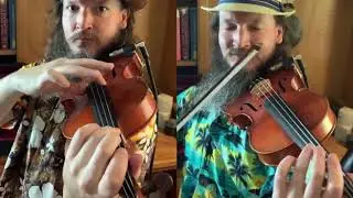 Pink Floyd - Money - violin plays the sax, guitar, keys solos
