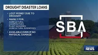 US Small Business Administration offers loans to small businesses in Florida