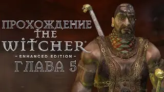 Прохождение The Witcher 1 | Глава 5 | Война в старой Вызиме | Ведьмак 1