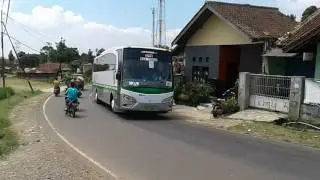 Telolet bus CAHAYA TRANS