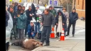 Martin Scorsese filming The Irishman with Robert De Niro in Ridgewood, New York