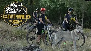 Sassovivo WILD 2022