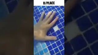 r/place