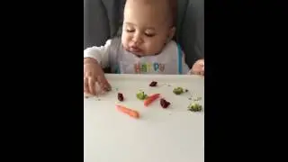 Finger Food Veggies 10 Month Old Baby