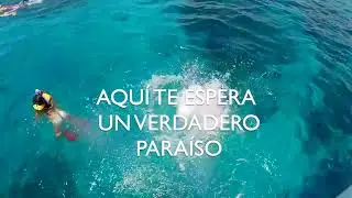 PLAYA MIA WATER PARK   es una experiencia IMPERDIBLE DE M&Eacute;XICO