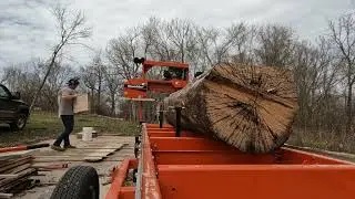 Spalted Silver Maple Slabs!