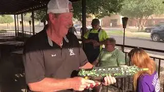 Fly Killing Salt Gun Fun!