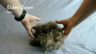 Eider Down