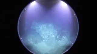 Virtual Vents - ROPOS Dive R1917 - Photogrammetric Survey Continued
