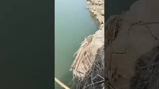 Anokhi duniya hai is live rod fishing in river
