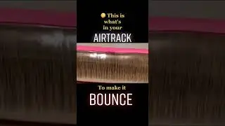🤫Gymnastics things you didnt know PART1 #artisticsgymnastics #airtracktumbling #airtrack
