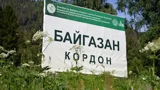Озеро Телецкое, Кордон Байгазан