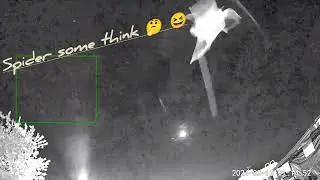 Transparent Flying Entity Captured on Camera &mdash; Fairy or Light Being? (Unseen with the naked eye)