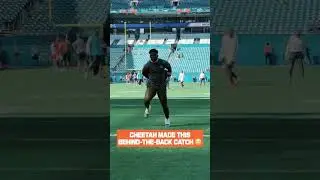 Cheetah Made this behind the back catch #americanfootball #sports #sportsinterview