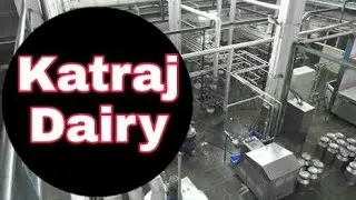 Katraj Dairy: Top Dairy Product Manufacturers in Pune