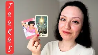 Taurus Love Tarot ♉️ They&rsquo;re INCREDIBLY Magnetized To You 🧲😍 Here&rsquo;s Why & What&rsquo;s Next 💞🔮