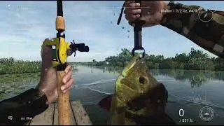 Fishing Planet unique catches part 3