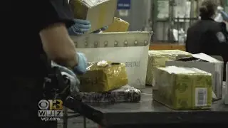 U.S. Customs And Border Protection: International Drug Mailing Fueling Opioid Crisis