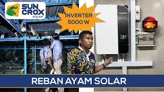 REBAN AYAM SOLAR dalam ladang sawit FELDA ganti operasi generator untuk lebih jimat & mudah
