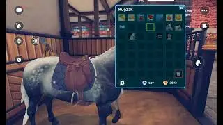 (star stable) vernieuwde Connemara kopen