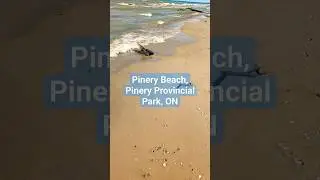 Pinery Provincial Park, Beach Near Grand bend | Lake Huron, Ontario #shorts #beach #canada #nature
