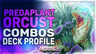 VERTE ANACONDA BANNED CONFIRMED ?!? BROKEN Orcust Combos ft. NEW Predaplant Support !!! Yu-Gi-Oh