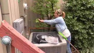 NHSCA Outside Around HVAC