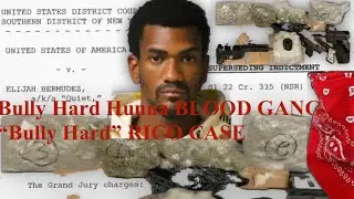 Bully Hard Hunna Blood Gang &ldquo;Bully Hard&rdquo; RICO CASE| 16 Year old VICTIM innocent bystander #mafia